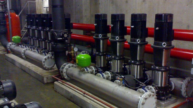 Moscow Egoplast Zoa